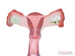 宫寒影响怀孕？科学调理提升受孕几率