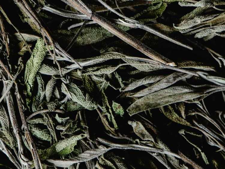 肝郁化火别硬扛!3招科学调理缓解不适(图1) 肝郁化火别硬扛!3招科学调理缓解不适