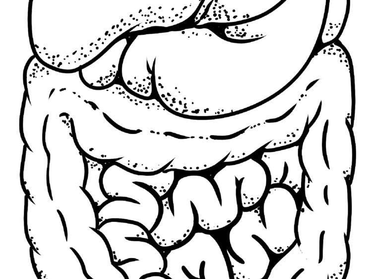 肝旺脾虚寒湿大？3招科学调理缓解腹胀怕冷