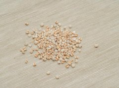 脾胃湿热致便秘长痘？科学调治让肠道通皮肤净