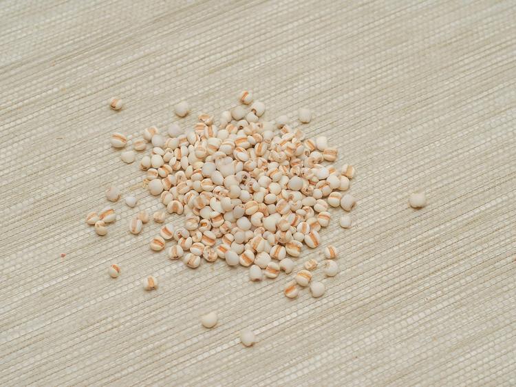 湿气重减肥难？饮食运动中药调理全攻略