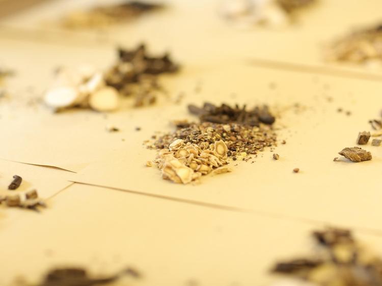 肾虚型耳鸣能缓解吗？科学调理+3个恢复关键帮你改善