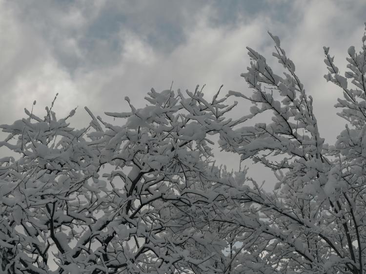 易上火溃疡还手脚冰凉？3个根源+4步调理