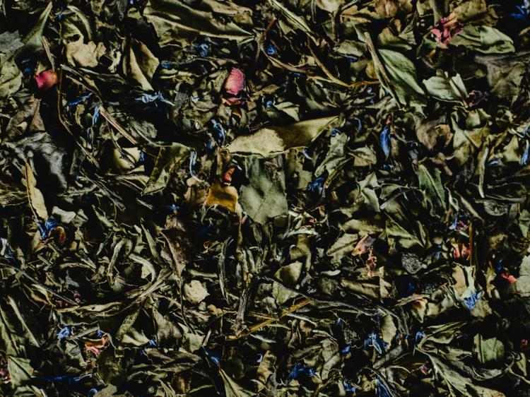 玫瑰花茶怎么喝才健康？功效解读+饮用误区避坑指南