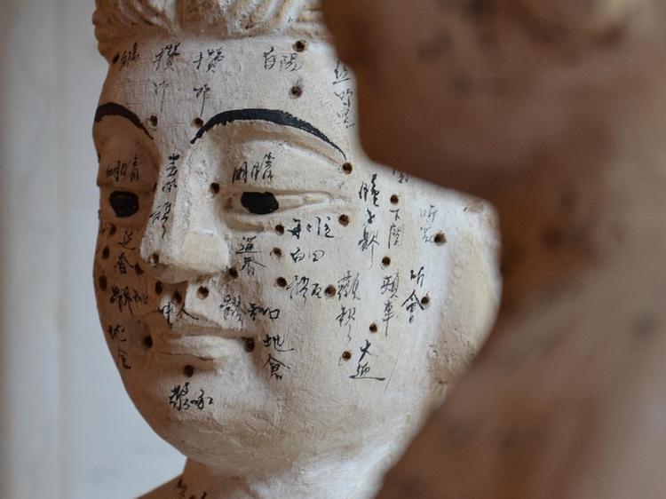 中医调理肾虚：辨证分型+综合方案，科学养肾不踩坑