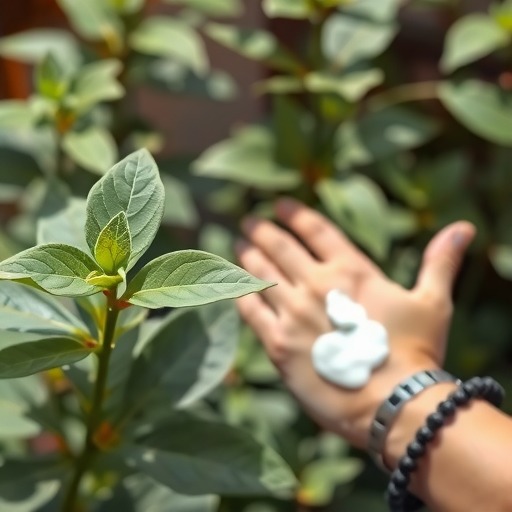 中暑应对：广藿香的3个核心功效及科学使用指南(图2)