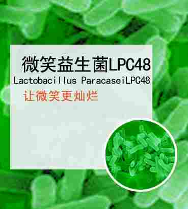 副干酪乳杆菌LPC48-微笑益生菌