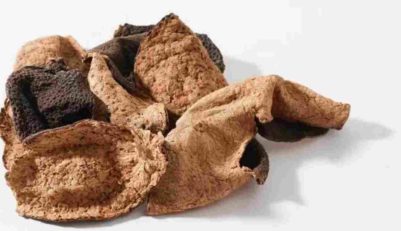 以皮治皮，寓养于食：构建冬季“健康防护盾”