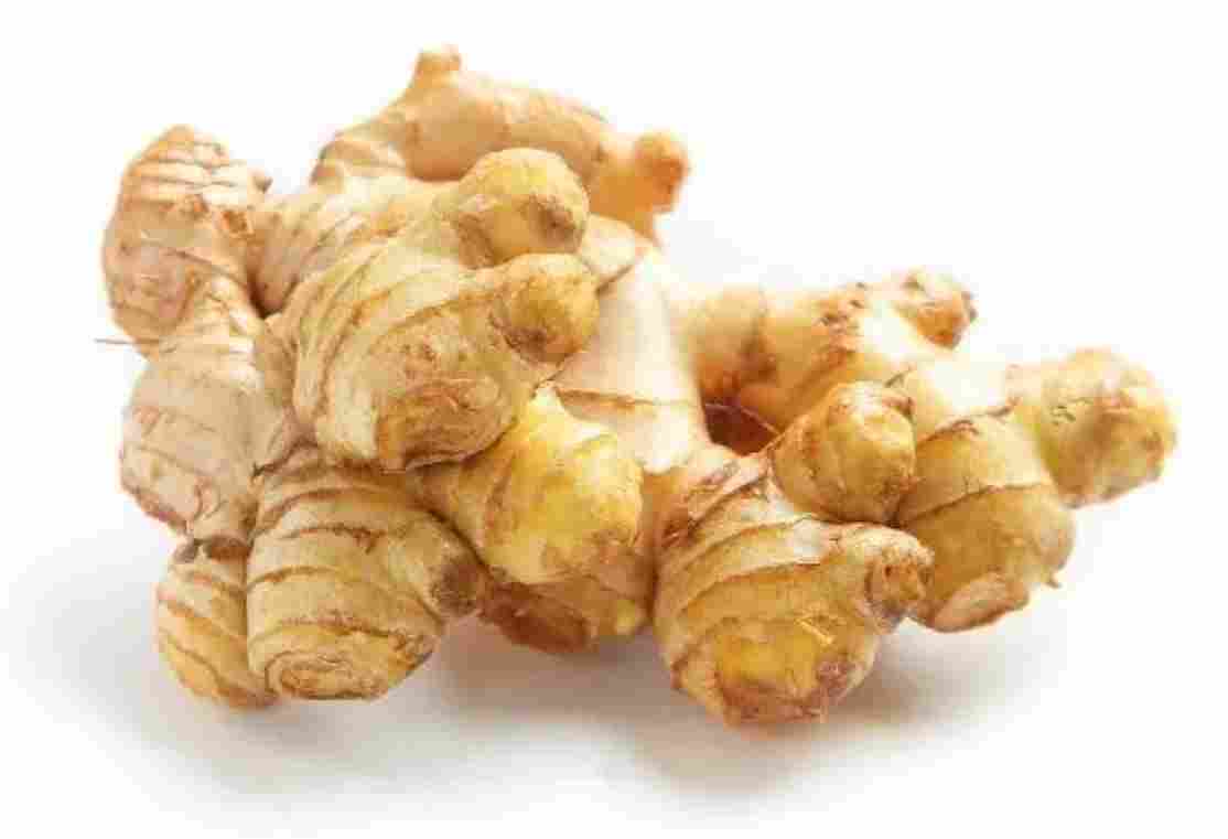 以皮治皮，寓养于食：构建冬季“健康防护盾”(图3)