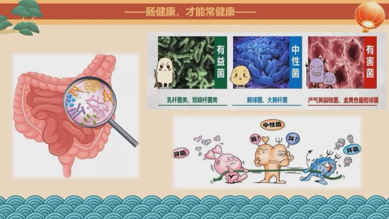 新春好“食”光 科学公开课：春节“肠”安心，健康“菌”相伴（安宇）(图2)
