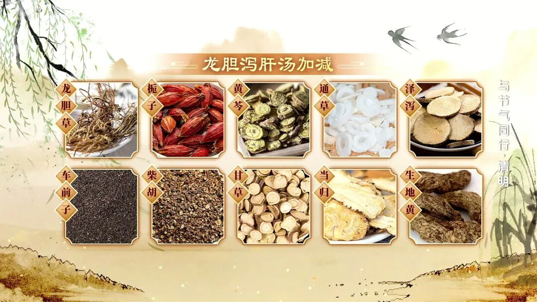 清明习俗藏养生智慧 专家教你顺时调养(图10)